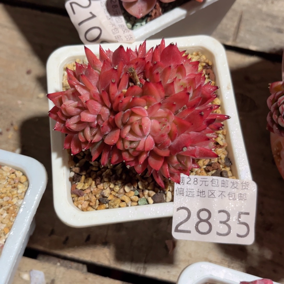 大2835、v vv c c v