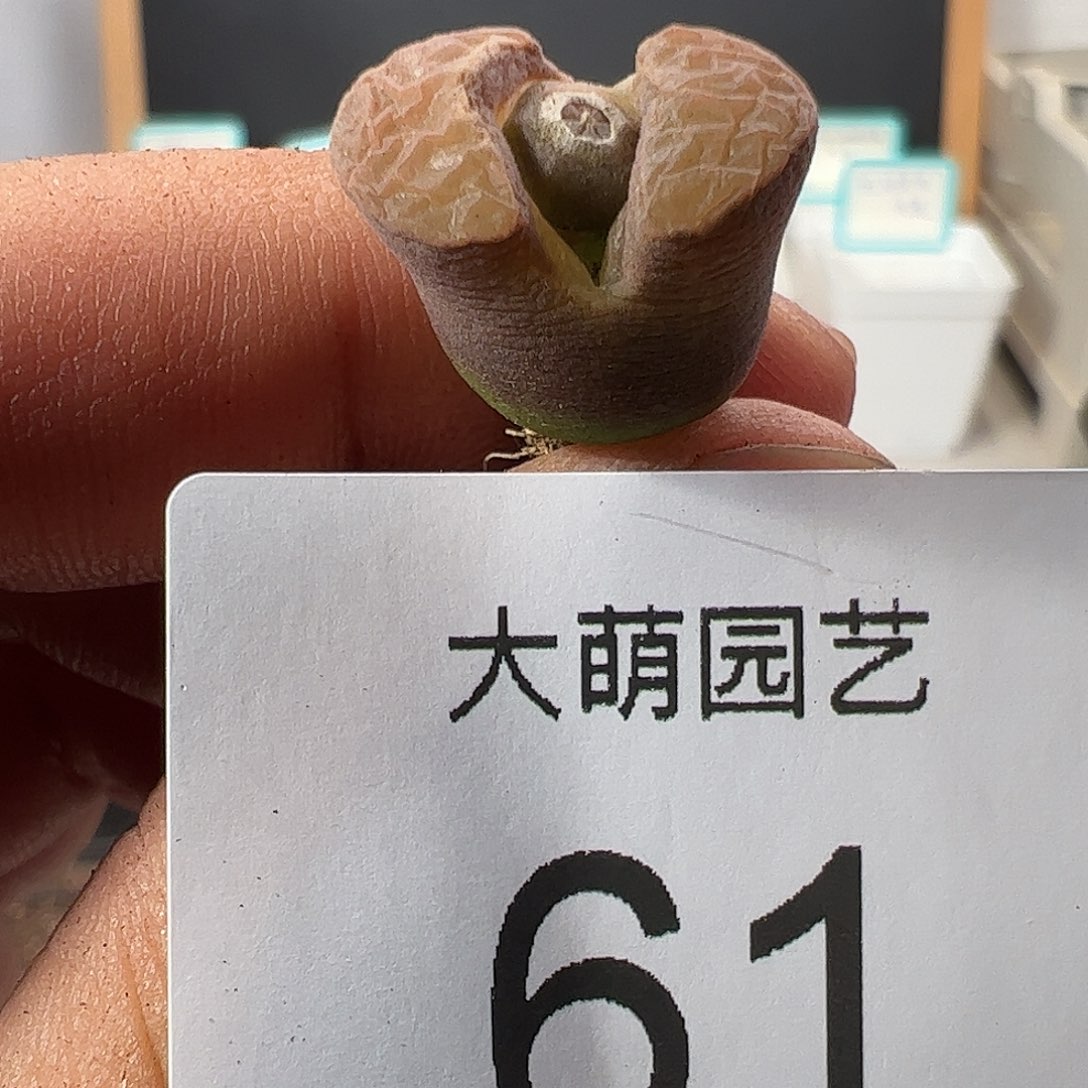 000061 一物一拍……