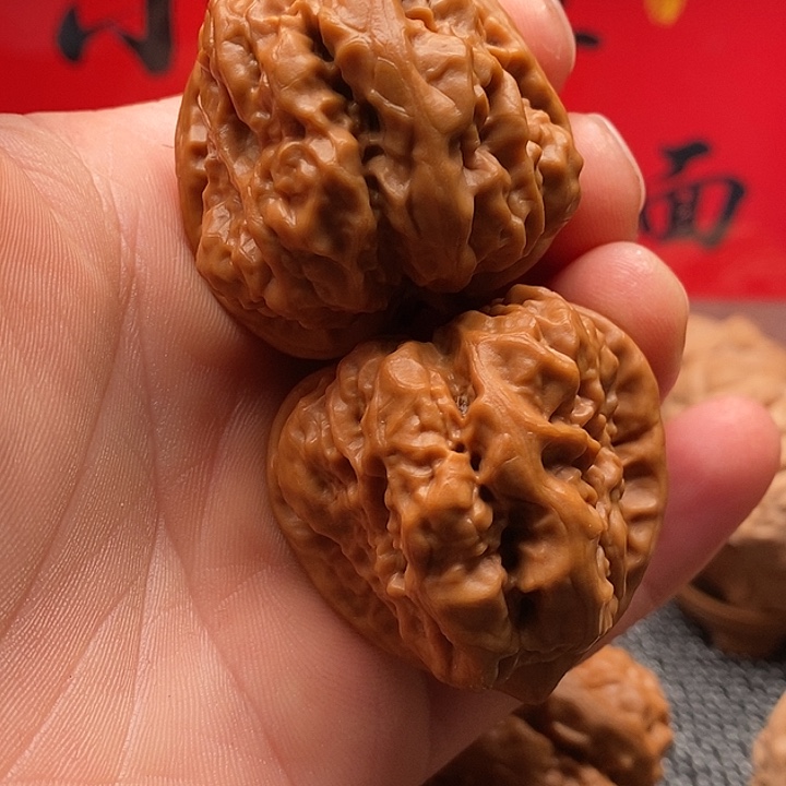 南***尘核桃延庆一代蛤蟆头蛤蟆头