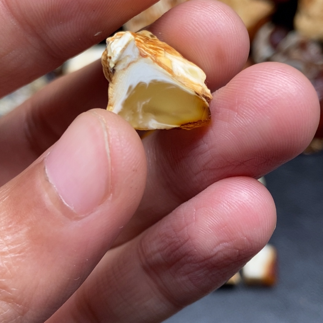 定制琥珀未镶嵌定制