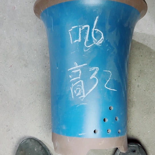 红陶紫砂知道小时