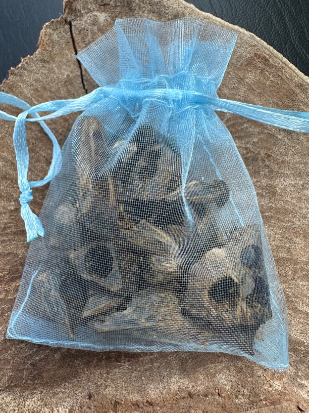 老料乌身绿棋楠沉香孔钻原材料10克花果香蜜甜凉韵（小白必拍款）