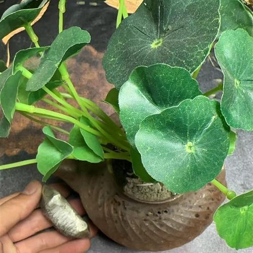 21-精选家居摆件-喜庆节日摆件-SG