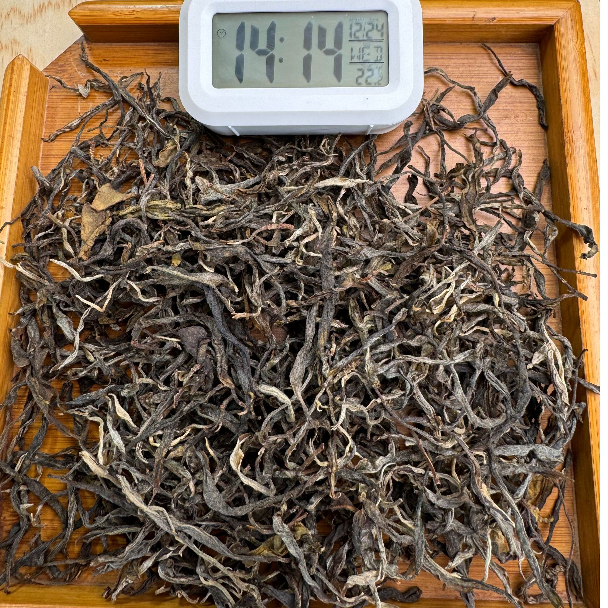 2021年·头春 小户赛单株·普洱生茶·散茶【239号】12-24「茶农给福利」