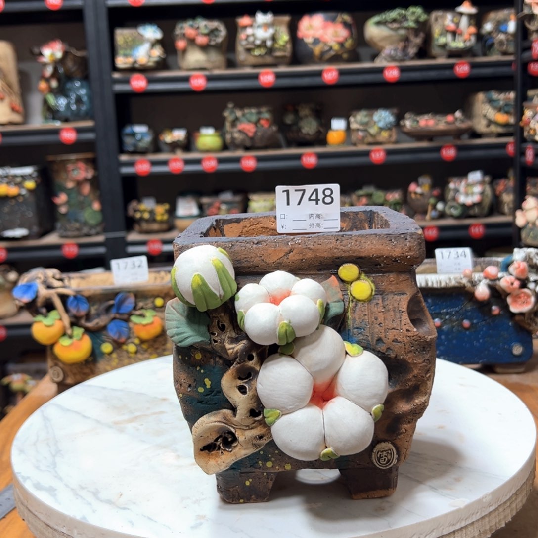 红陶1748 口10高15