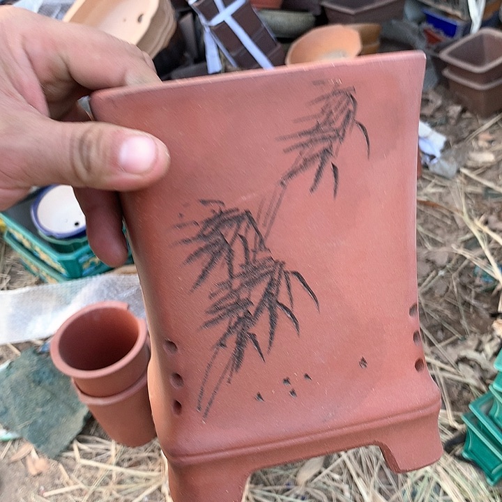 紫砂我要不明天要早起