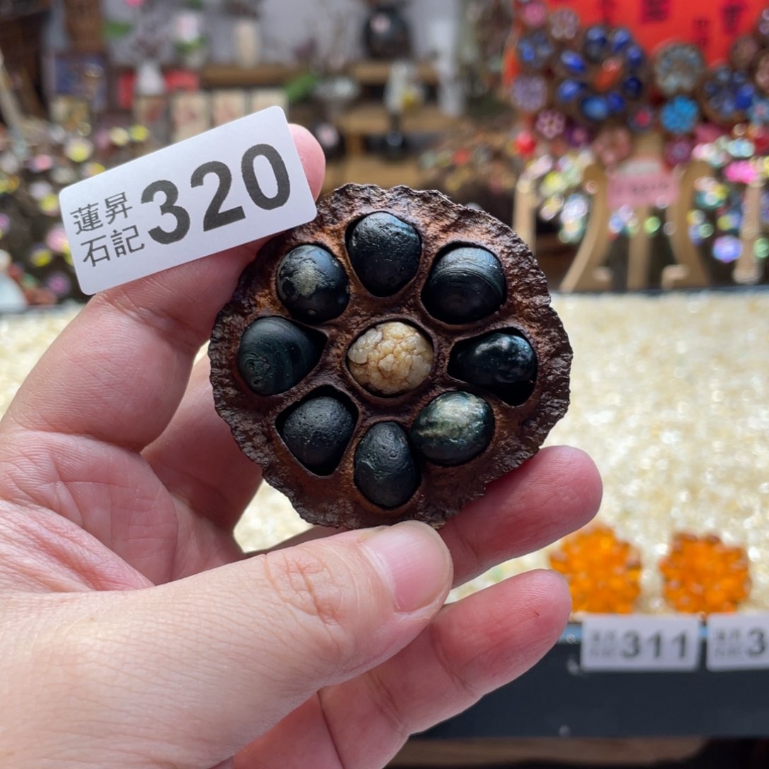 核桃木/黑胡桃（胡桃木）320