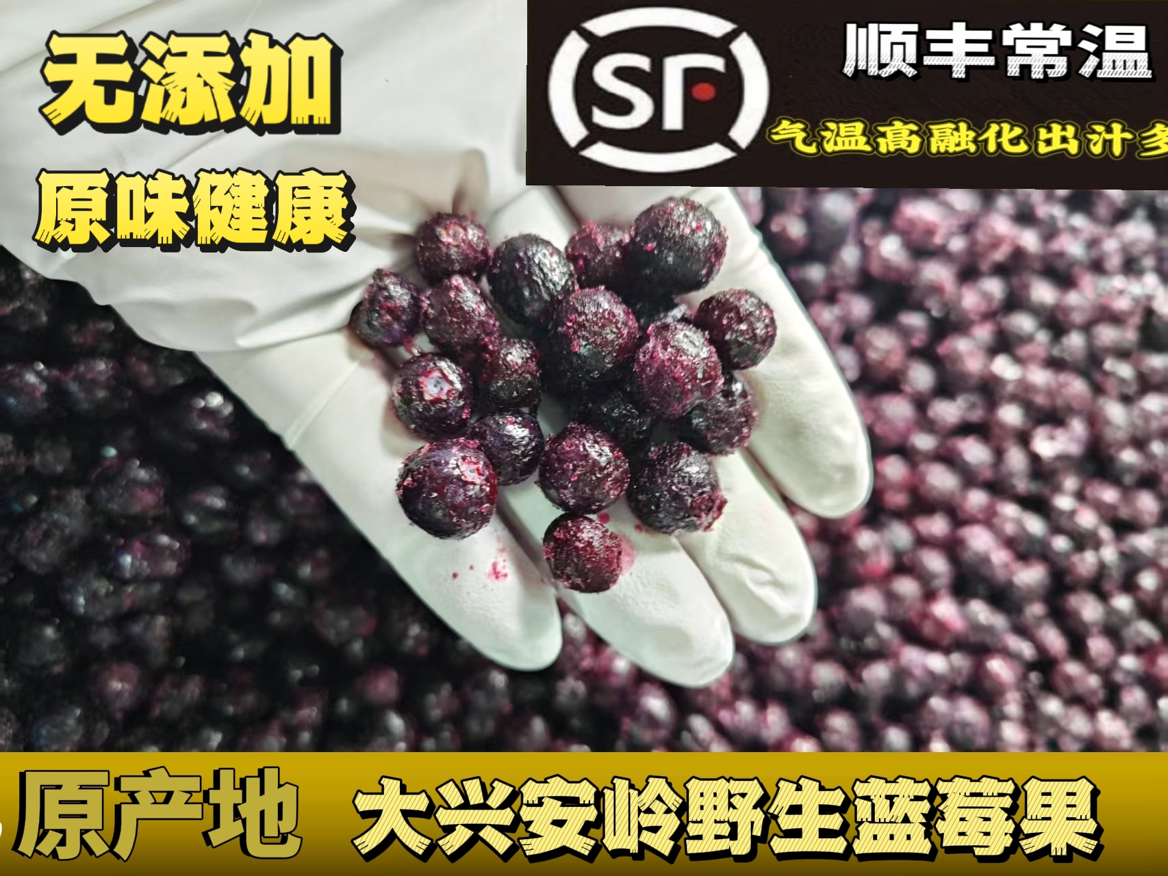 野生蓝莓冻果顺丰陆运空运会融化新鲜原味果大兴安岭都柿10斤安疗