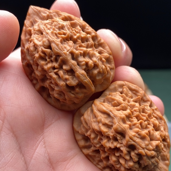 文玩核桃把件35尺粗筋蚂蚁王