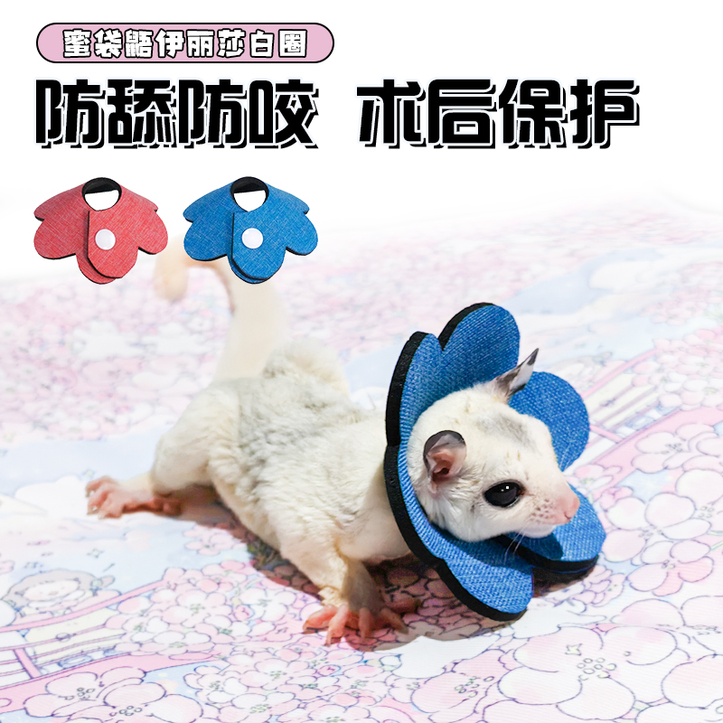 伊丽莎白圈仓鼠蜜袋鼯花枝鼠防咬圈洗澡上药防舔舐可调节围脖脖套