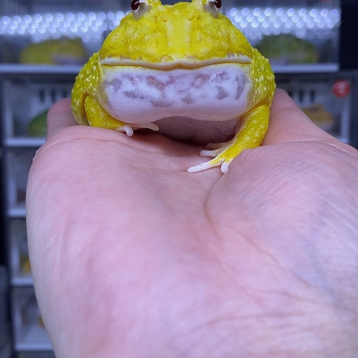 特价秒杀现货供应