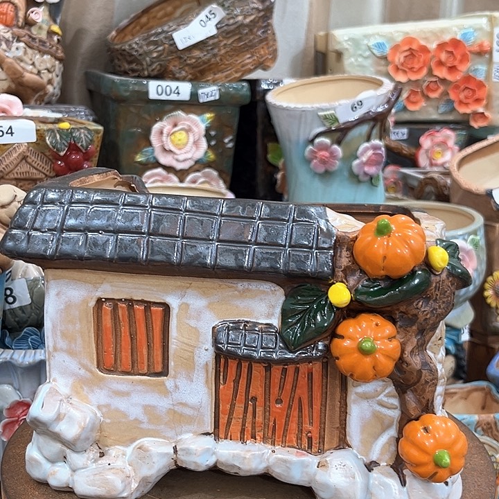 红陶粗陶多肉花盆中