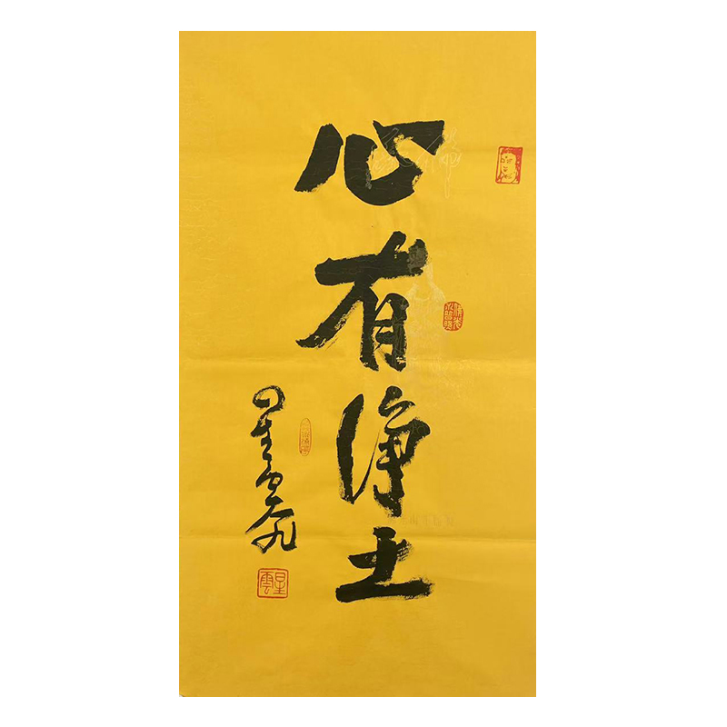 b-2036星老师书法软片48*90cm