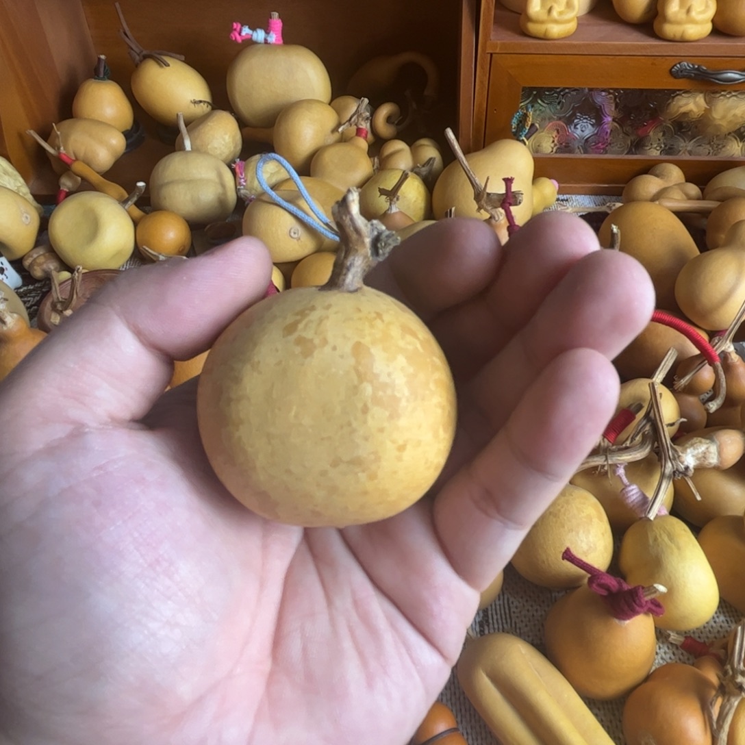 思***顺不想放弃自己葫芦