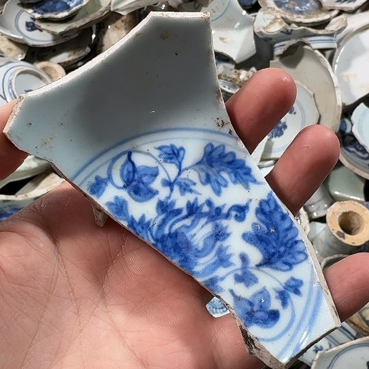 瓷片瓷片标本顺丰包邮