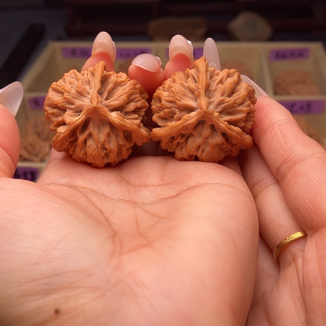 文玩核桃把件秦公子37