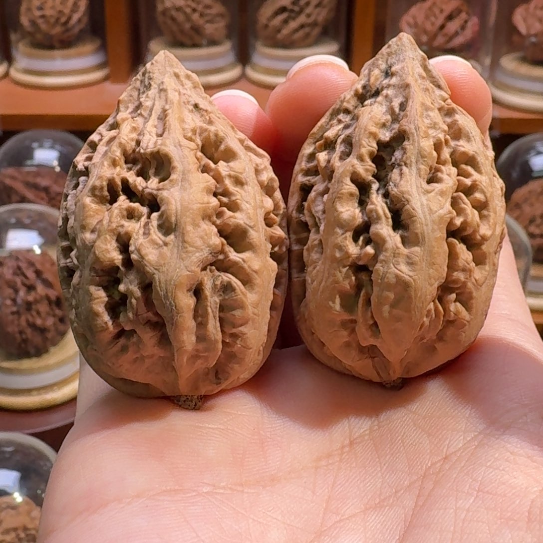 文玩核桃把件火焰霸王龙