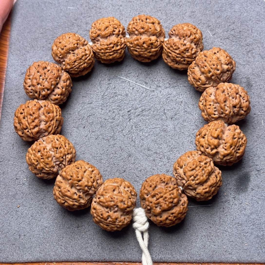 菩提13号金刚菩提深沟梅花24