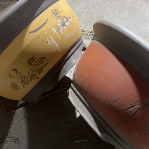 紫砂花盆100-2。41-20