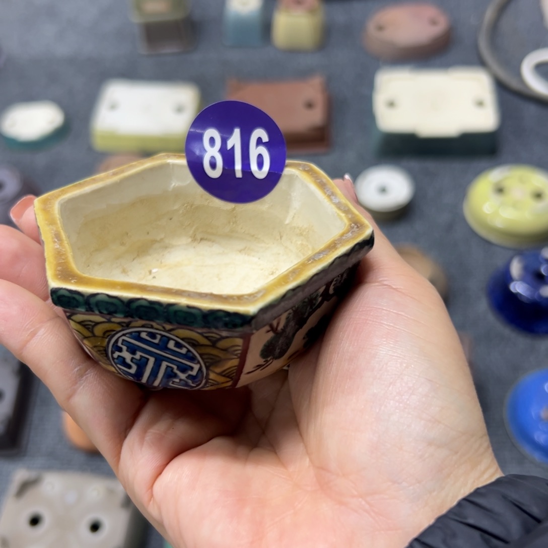 红陶佳****！红红火火过大年816