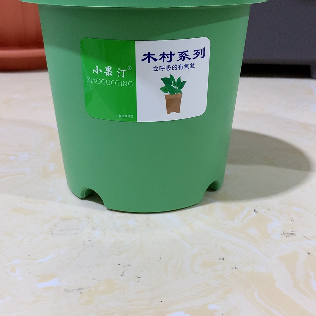 树脂四季口15果绿10个无托