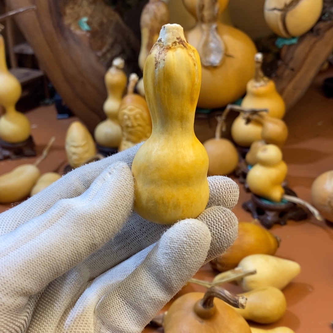 教练咯教练咯哦哦哦嘛