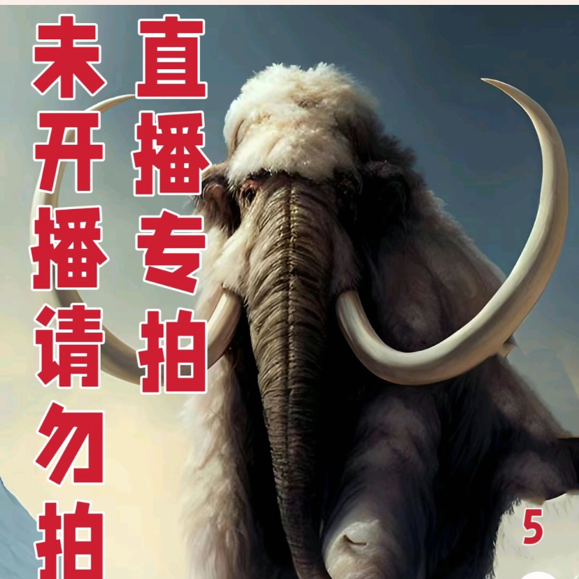 保真猛犸象牙雕刻配饰文玩配饰8