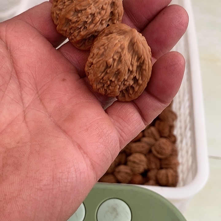 吊坠文玩核桃开播福利