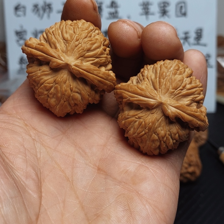 说***.核桃39+尺寸白狮子一对