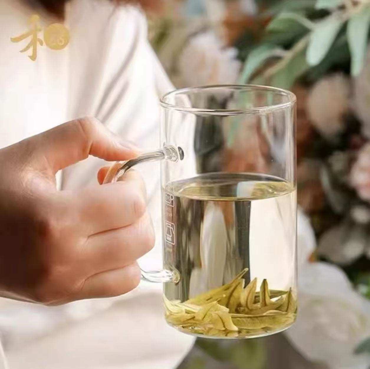 禾器 清简杯绿茶杯 透明色