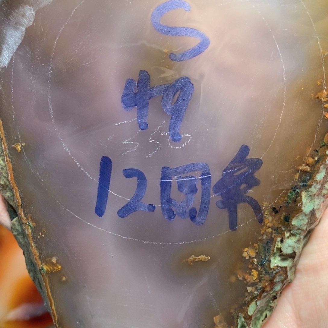 定制玛瑙S私人定制49圆条不退换