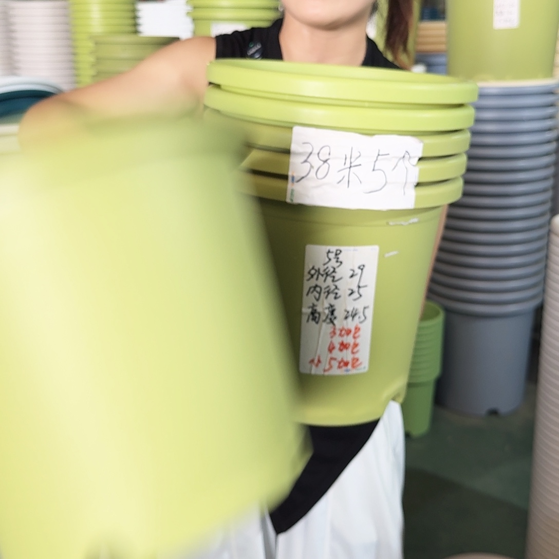 微瑕5#无拖果绿6个