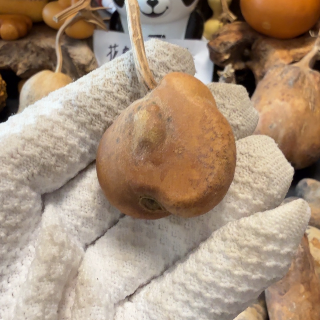 酒***子666666677777788888999