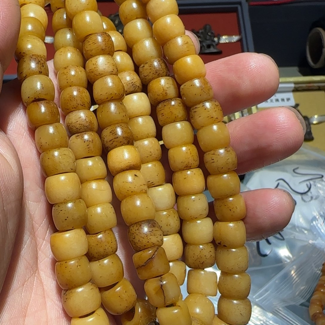 往**后老老老老老老老老老老