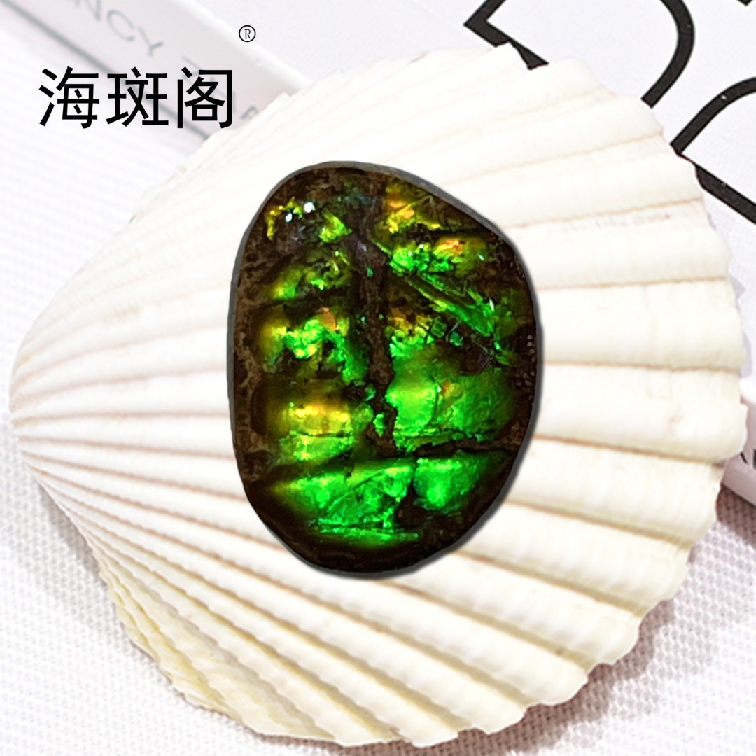 【海斑阁】天然加拿大斑彩宝石有机宝石收藏树脂覆膜裸石DLS-25079