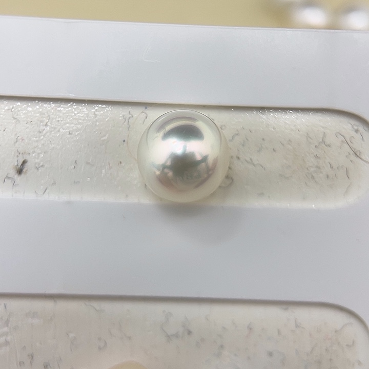 未镶嵌耳饰海水珍珠12-13mm 澳白 极强光H7