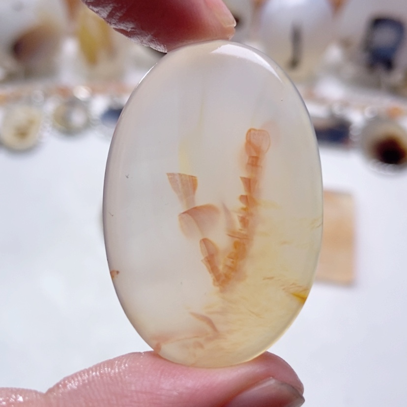 【闪购商品】玛瑙/玉髓颈饰未镶嵌