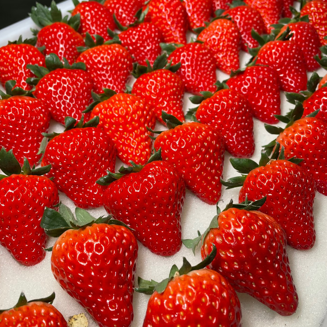 【配送到家】宁玉奶油红草莓1份