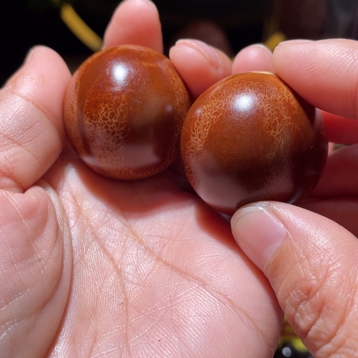 桃核把件橄榄核光珠手球