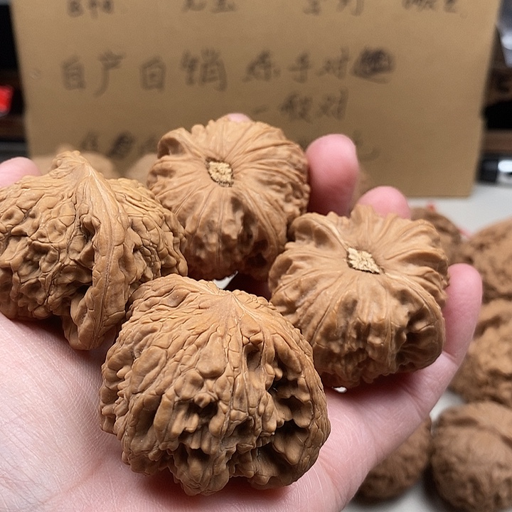 6***员木质类17.17.17.17