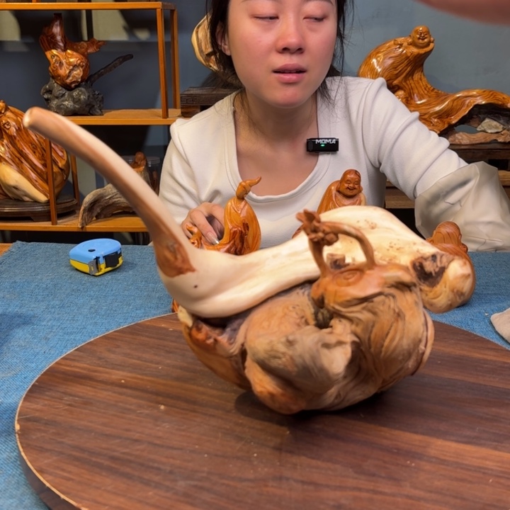 柏木（崖柏）关注一下
