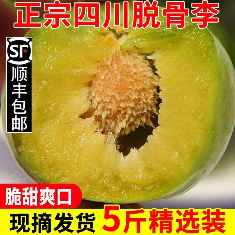 【顺丰包邮】四川高山脱骨李子新鲜采摘现摘现发应季水果酸甜多汁四川省