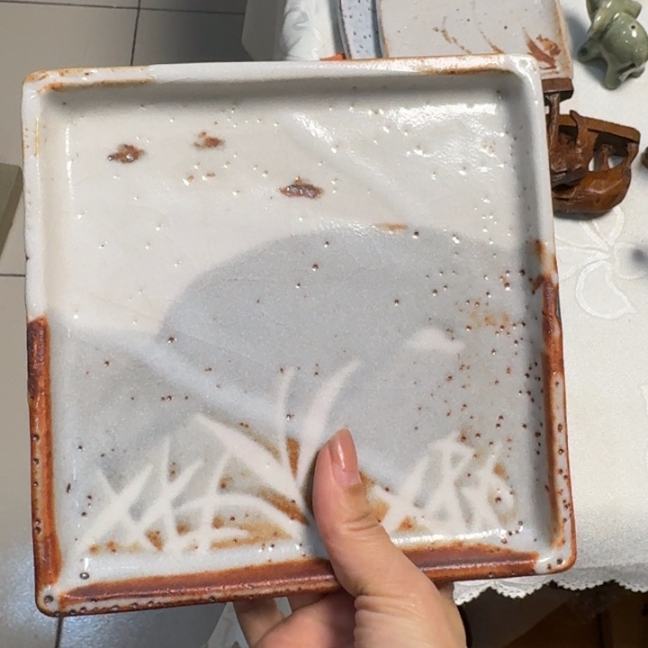 一个盘子好看的很