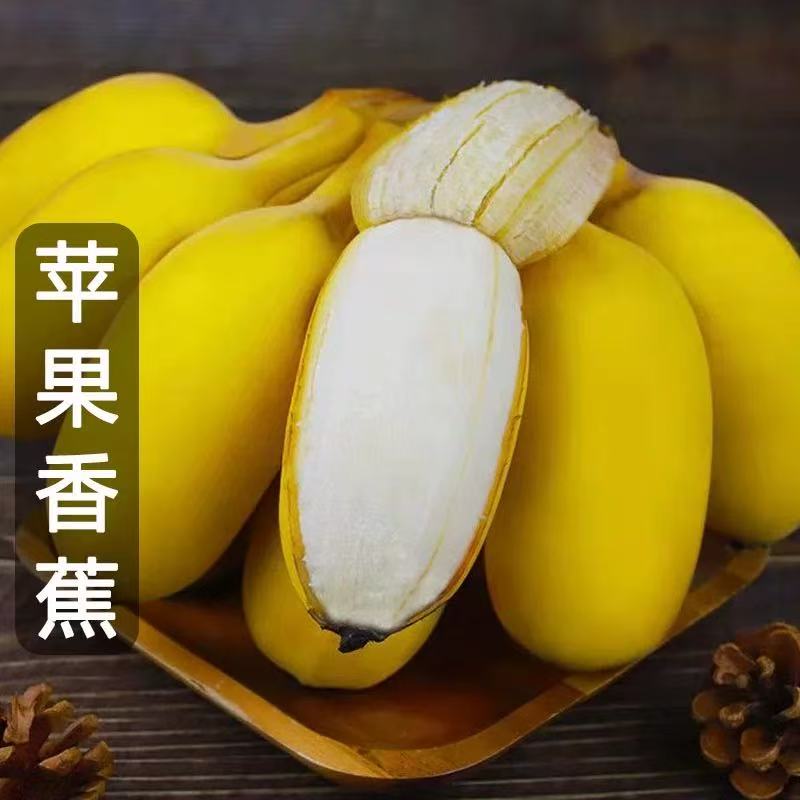 新鲜正宗苹果蕉广西特产香甜软糯