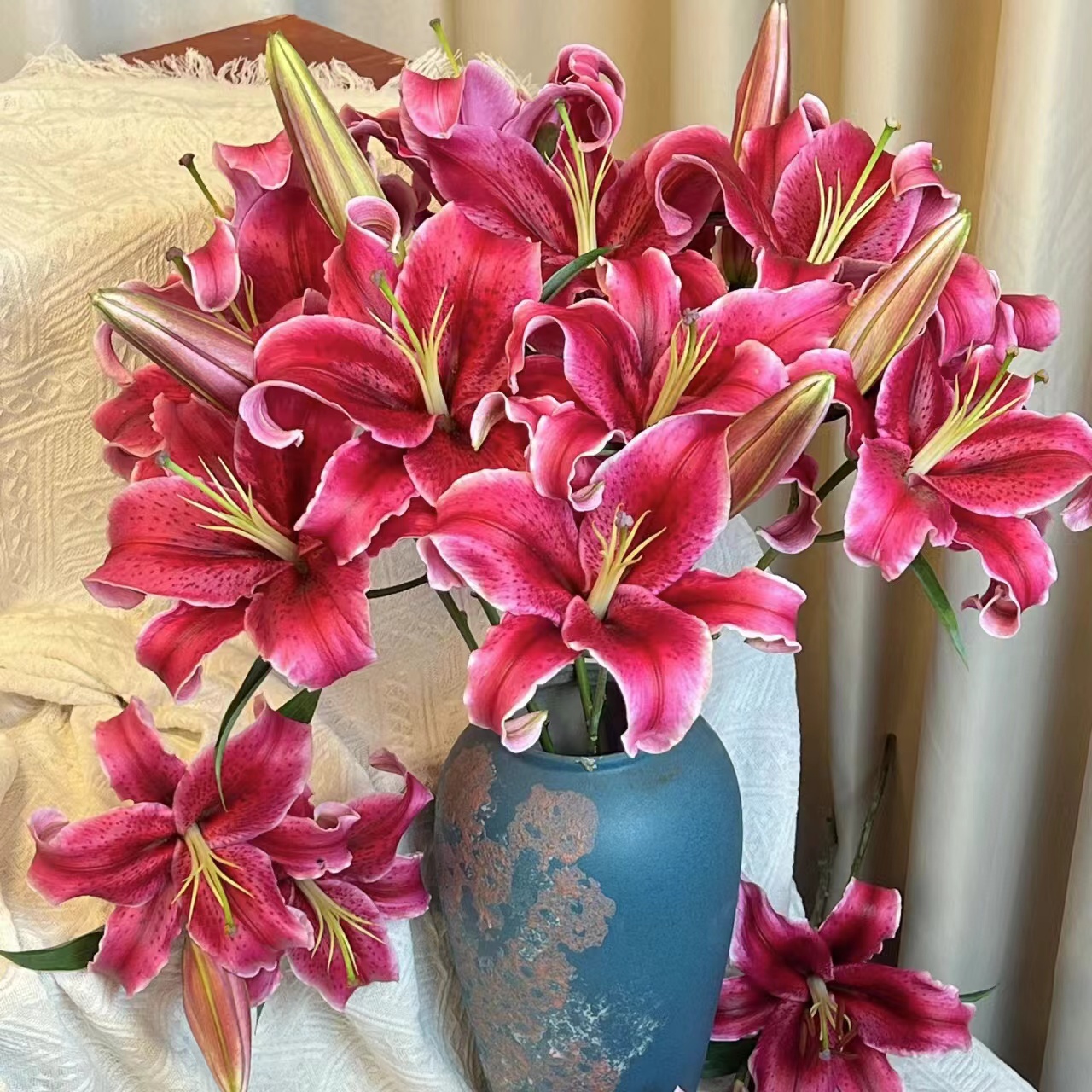 【黑美人AK】精品黑美人香水百合 | 全场任意满两单鲜花包邮