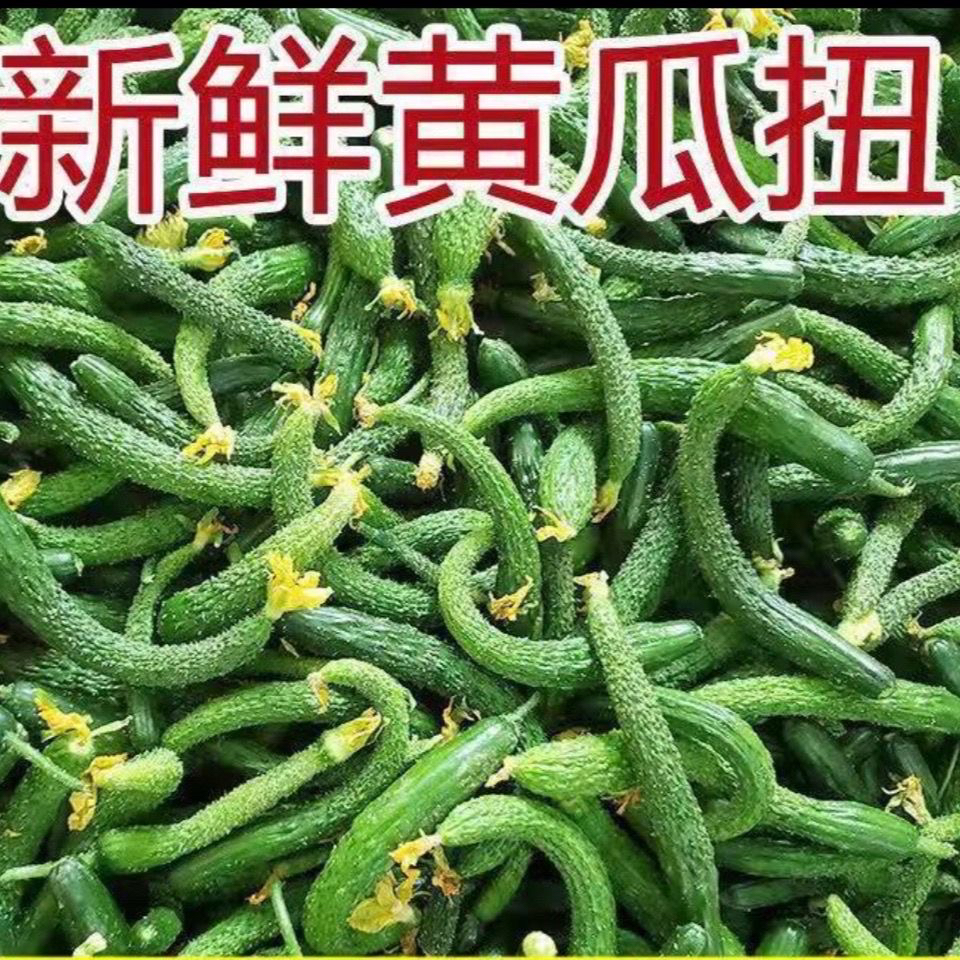 小黄瓜新鲜拇指小黄瓜扭迷你青瓜下饭菜手工腌制酱瓜蔬菜现摘绿心