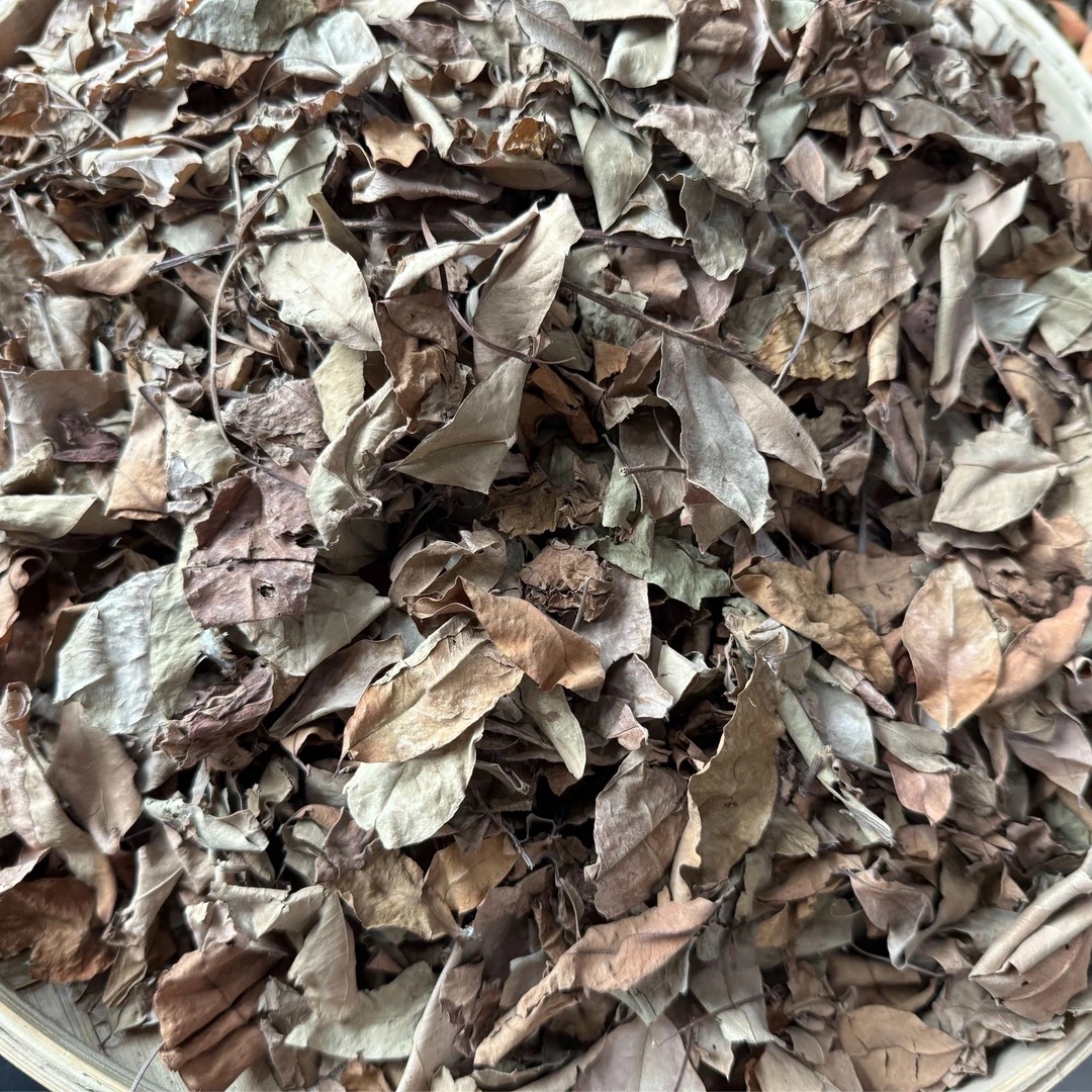 野生黄牛木茶泡茶
