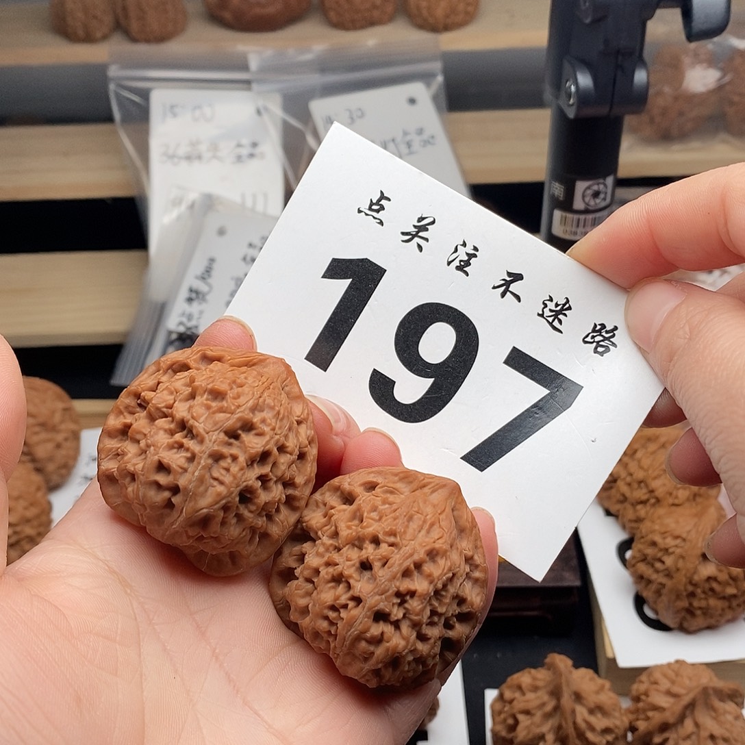 核桃40水龙纹。      