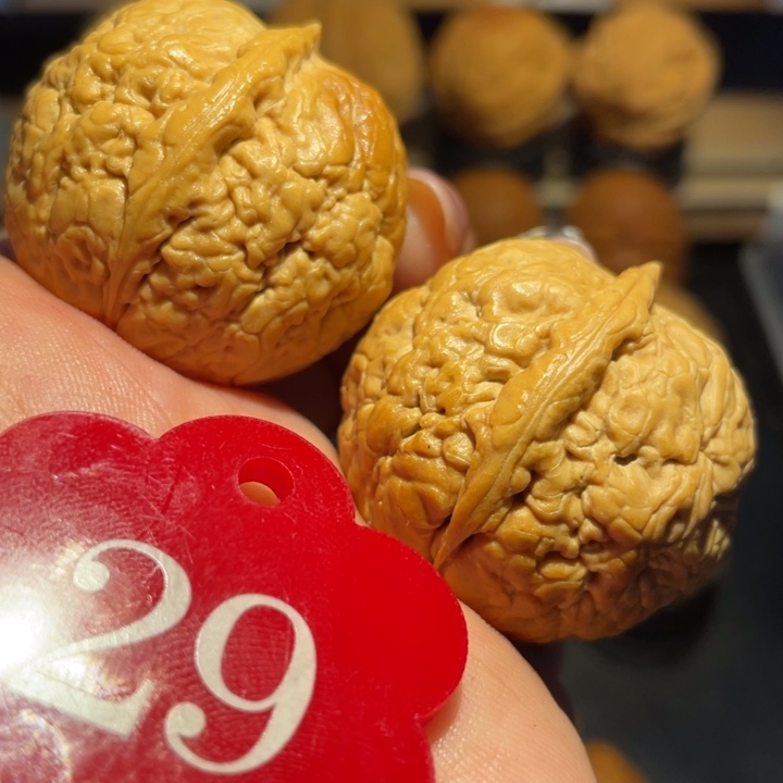 好***u七彩绣球核桃尺寸35