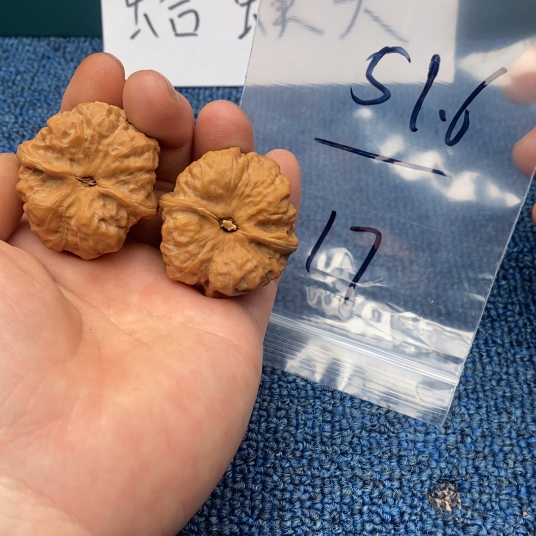 哈哈哈哈哈哈哈哈哈哈